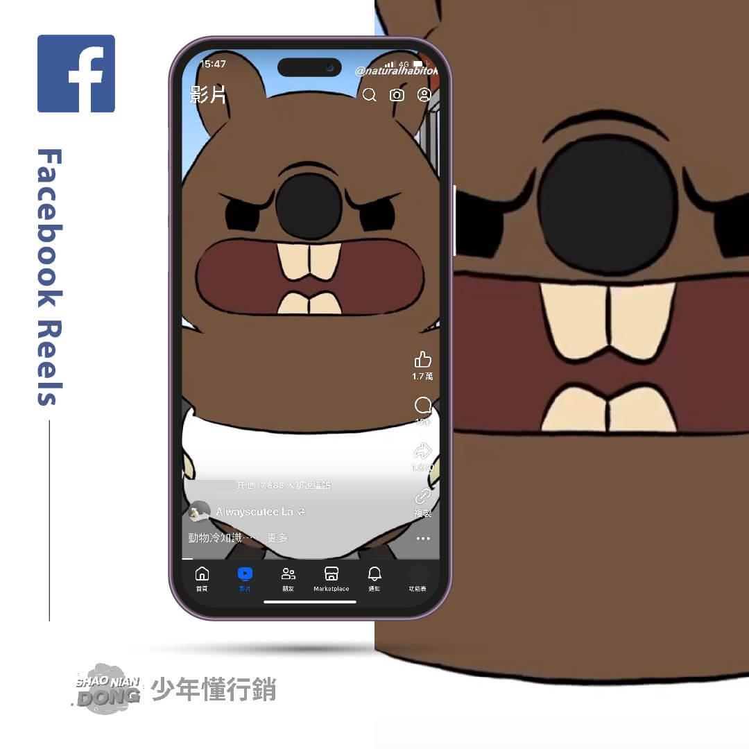 短影音成功秘訣-FB Reels 短影音平台
