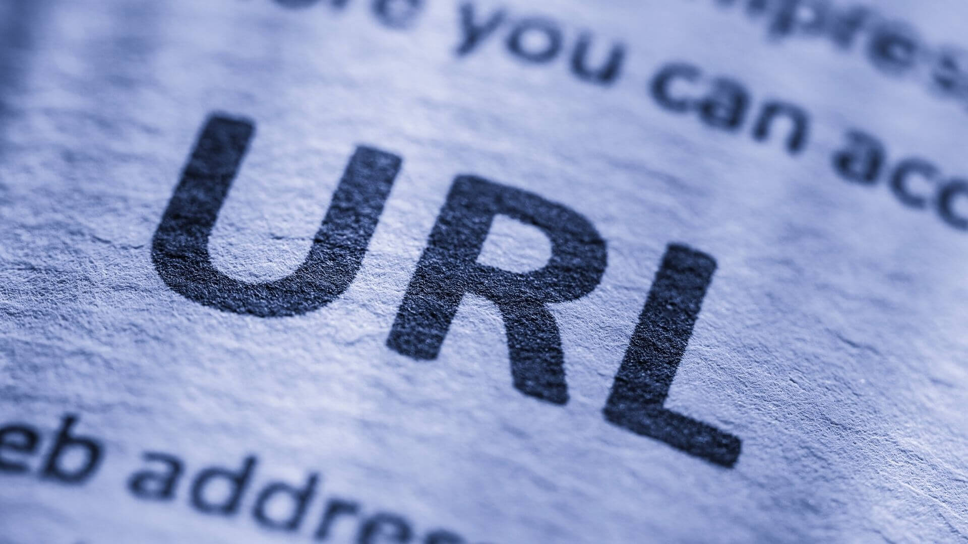 Canonical URL 標準網址是什麼？避免重複內容的 SEO 最佳解決方案